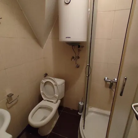 Sofija Kraljevi Cardaci *