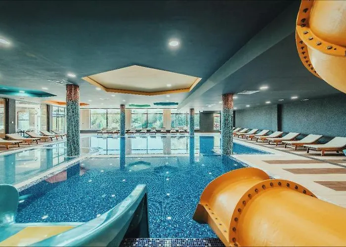 Sofija Kraljevi Cardaci Kopaonik