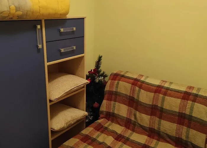 Sofija Kraljevi Cardaci