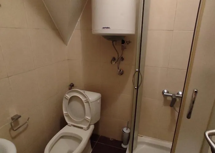 Sofija Kraljevi Cardaci *